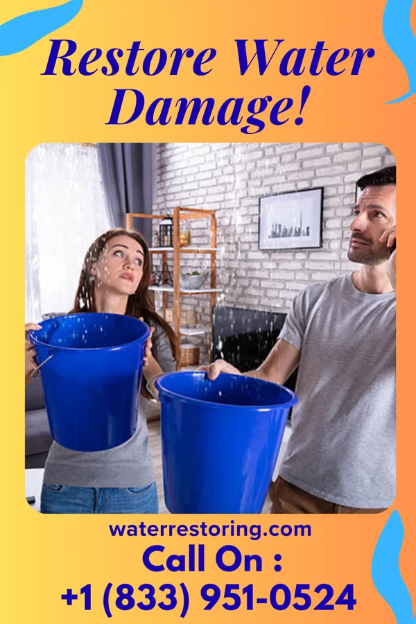 water restoration Eco Water Damage LLC Hickory Hills