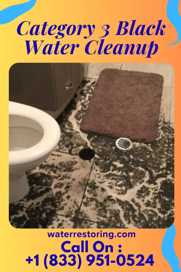 Category 3 Black Water Cleanup in Hickory Hills, PA
