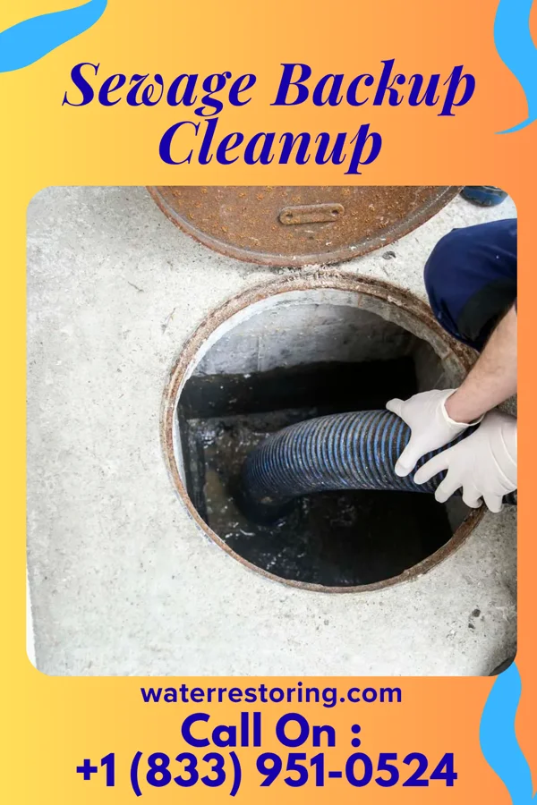 Sewage Backup Cleanup in Hickory Hills, PA