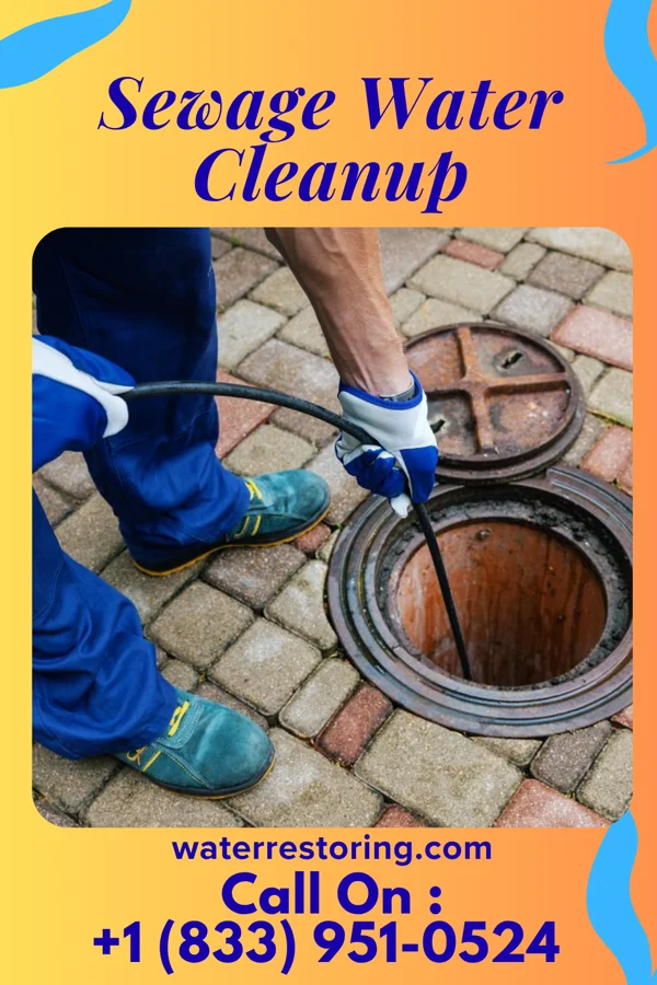 Sewage Water Cleanup in Hickory Hills, PA