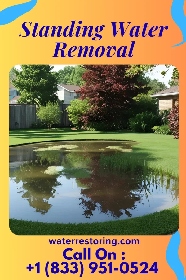 Standing Water Removal in Hickory Hills, PA